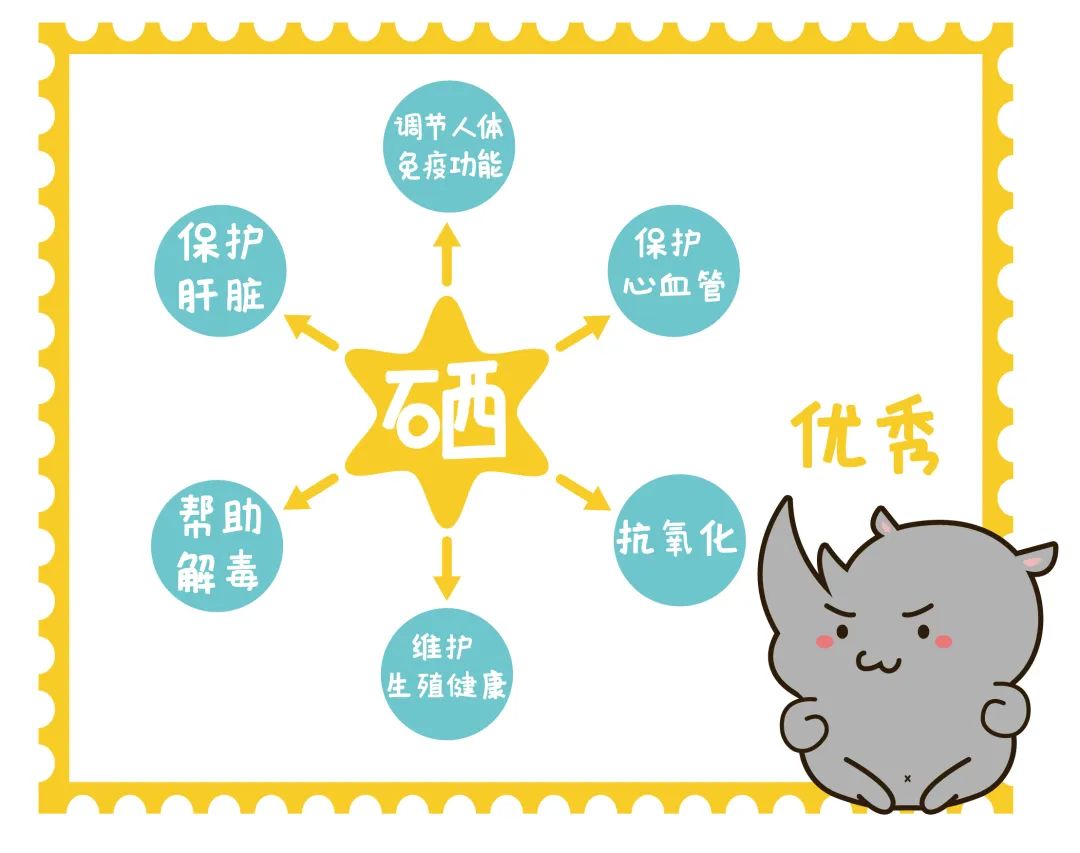 植物硒元素的营养产品(营养元素植物产品硒含量)-硒宝网