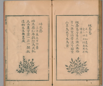 植物硒元素的营养产品(营养元素植物产品硒含量)-硒宝网