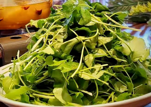 植物硒元素的营养产品(营养元素植物产品硒含量)-硒宝网