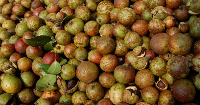 寿宁生态硒锌产品价格(锌硒生物素片)-硒宝网