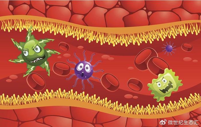 含硒最高的产品是什么（含硒高的产品）-硒宝网