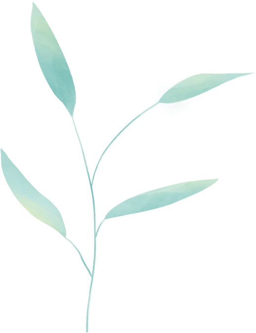 恩施硒产品的调查问卷(湖北恩施硒产品哪个好)-硒宝网