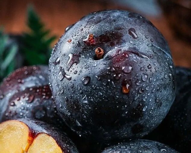 哪些农产品富含硒元素(农作物含硒)-硒宝网