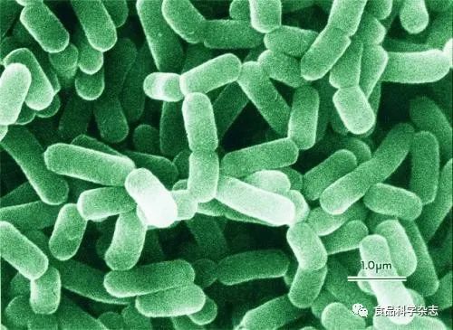 生物纳米硒源产品叫什(生物纳米硒营养液)-硒宝网