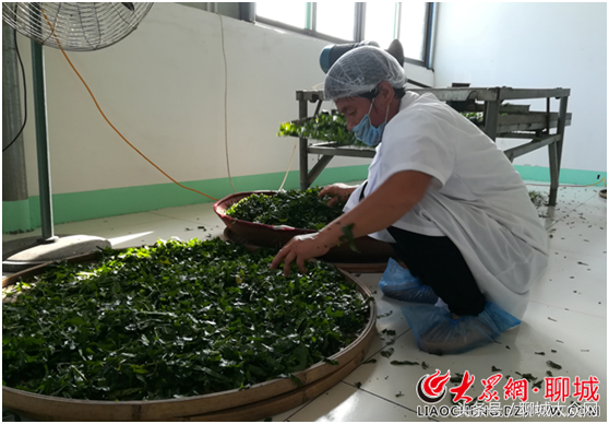 硒等微量元素产品推广(微量元素硒选哪种好)-硒宝网