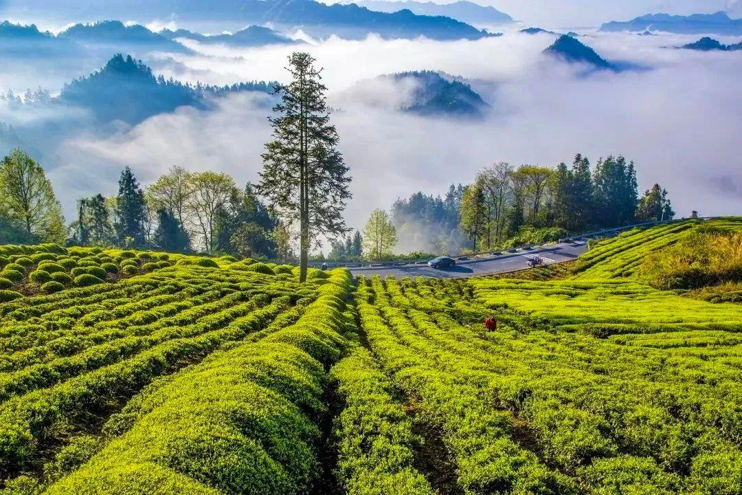 恩施硒产品博览交易会(2021恩施硒产品博览会)-硒宝网