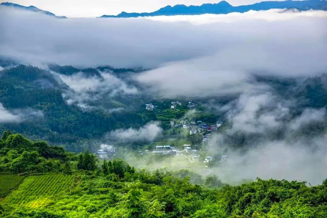 恩施硒产品博览交易会(2021恩施硒产品博览会)-硒宝网