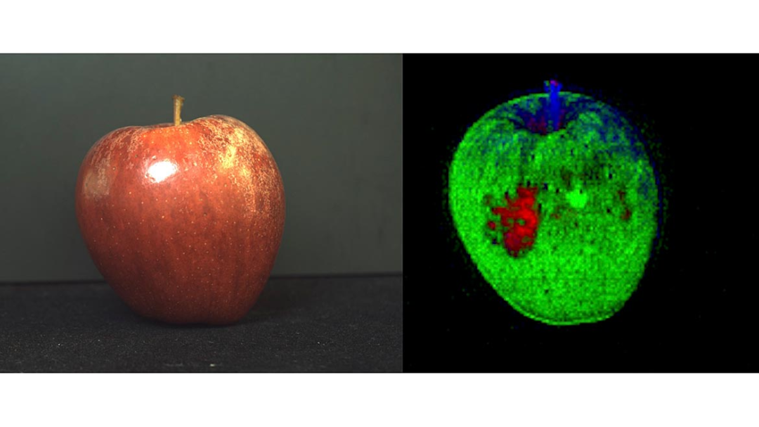 硒化锌用于什么产品里(硒化锌晶胞)-硒宝网
