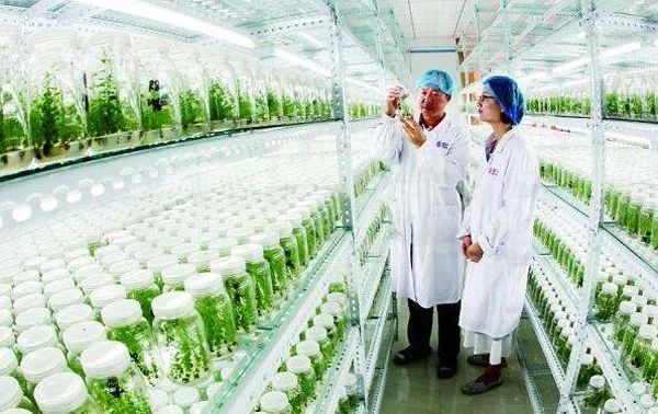 恩施硒产品的调查问卷(2021恩施硒产品博览会)-硒宝网