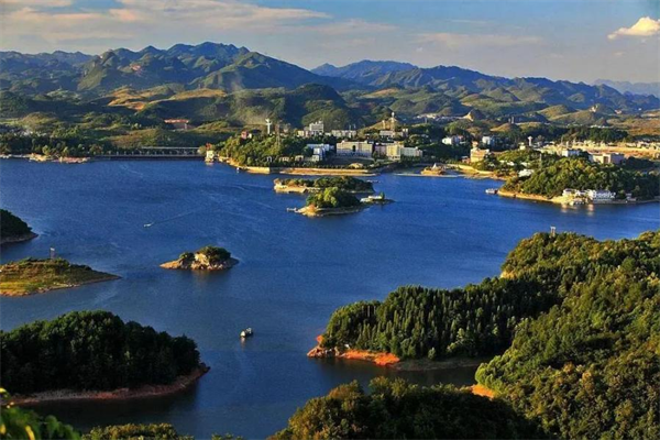 凤冈锌硒茶的产品介绍(凤冈锌硒茶120g特级)-硒宝网