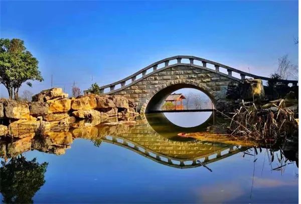 凤冈锌硒茶的产品介绍(凤冈锌硒茶120g特级)-硒宝网