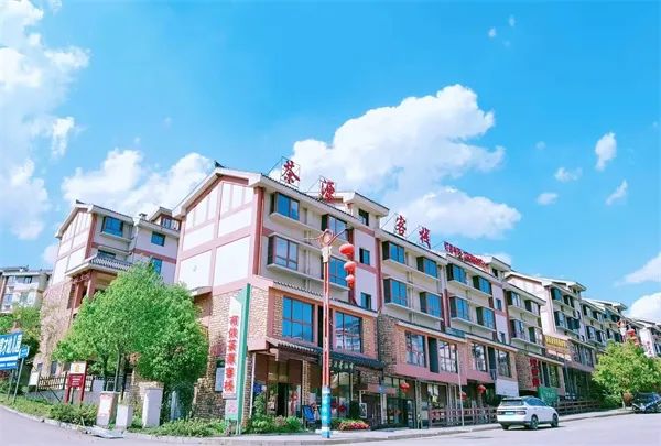 凤冈锌硒茶的产品介绍(凤冈锌硒茶120g特级)-硒宝网