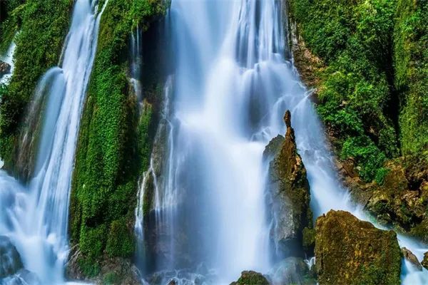 凤冈锌硒茶的产品介绍(凤冈锌硒茶120g特级)-硒宝网