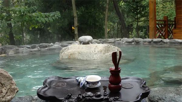 凤冈锌硒茶的产品介绍(凤冈锌硒茶120g特级)-硒宝网