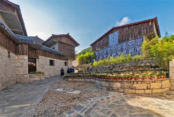 凤冈锌硒茶的产品介绍(凤冈锌硒茶120g特级)-硒宝网