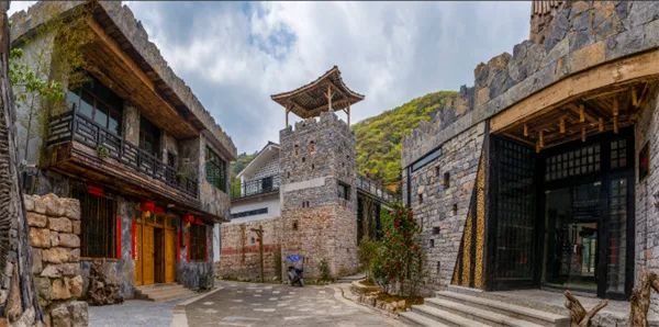 凤冈锌硒茶的产品介绍(凤冈锌硒茶120g特级)-硒宝网