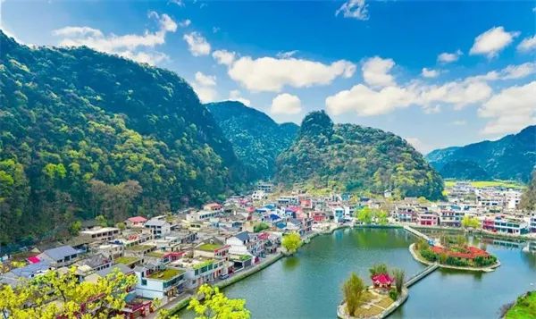 凤冈锌硒茶的产品介绍(凤冈锌硒茶120g特级)-硒宝网