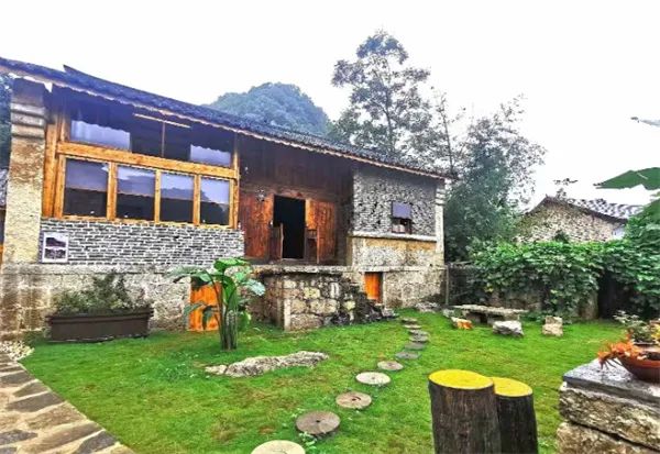 凤冈锌硒茶的产品介绍(凤冈锌硒茶120g特级)-硒宝网