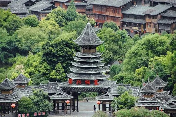 凤冈锌硒茶的产品介绍(凤冈锌硒茶120g特级)-硒宝网