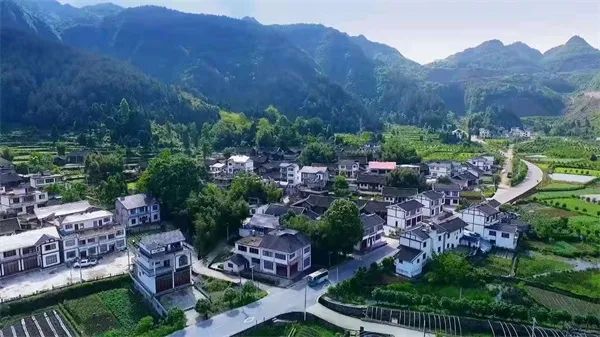 凤冈锌硒茶的产品介绍(凤冈锌硒茶120g特级)-硒宝网