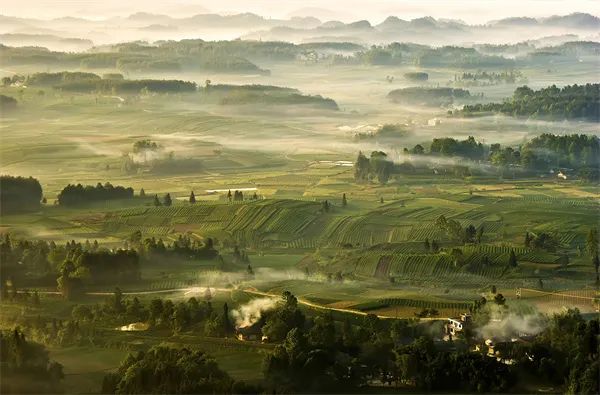 凤冈锌硒茶的产品介绍(凤冈锌硒茶120g特级)-硒宝网