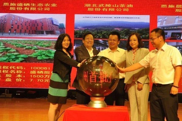 硒谷科技有限公司产品（硒科智能科技是做什么的）-硒宝网