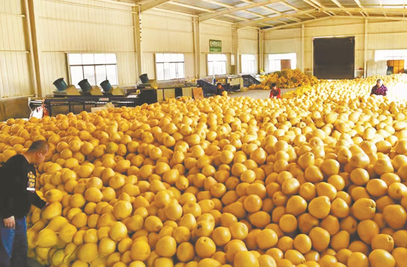 湖北恩施硒圣植物产品（恩施硒圣公司）-硒宝网