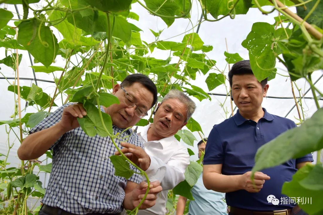 利川汪营硒产品加工园(利川市汪营镇总体规划)-硒宝网