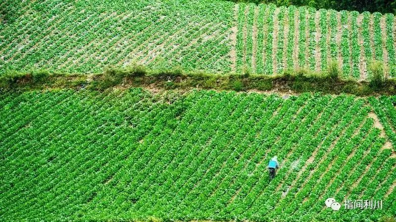 利川汪营硒产品加工园(利川市汪营镇总体规划)-硒宝网