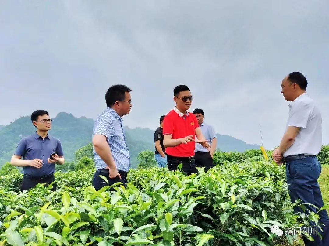 利川汪营硒产品加工园(利川市汪营镇总体规划)-硒宝网