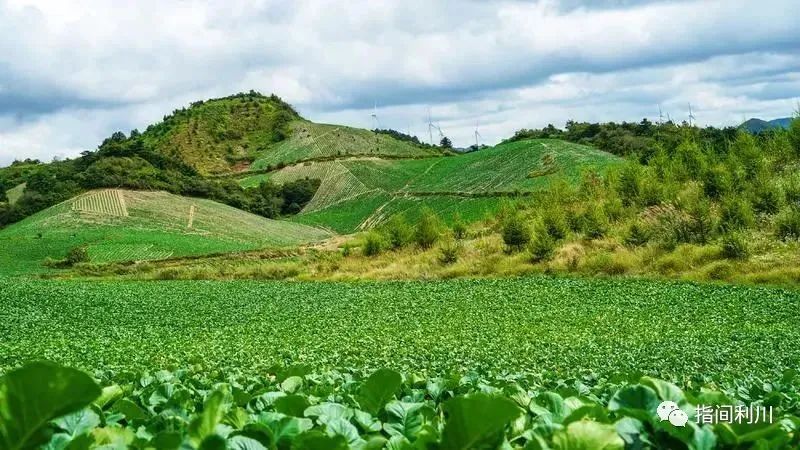 利川汪营硒产品加工园(利川市汪营镇总体规划)-硒宝网