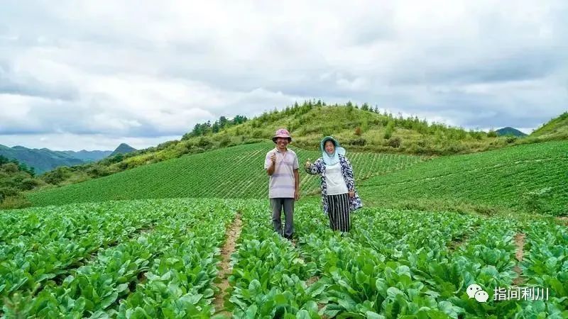 利川汪营硒产品加工园(利川市汪营镇总体规划)-硒宝网