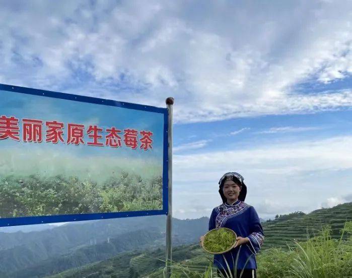 石台县打造硒产品基地(石台硒茶怎么样)-硒宝网