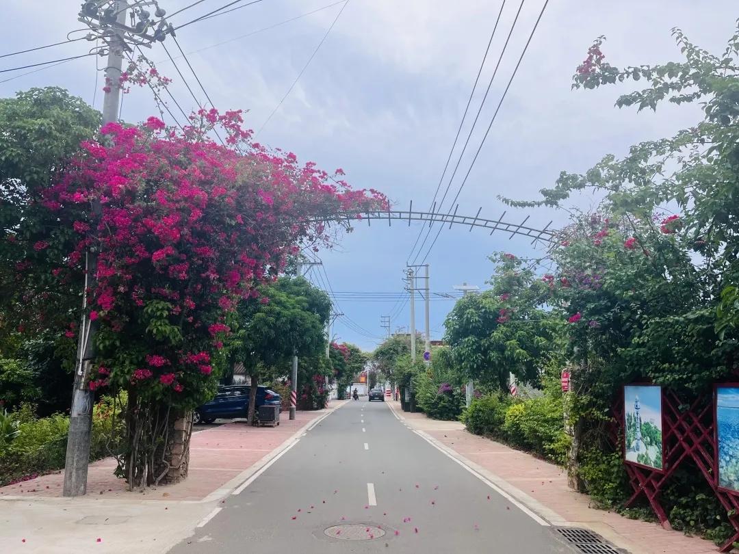 徐闻丰硒良姜公司产品(广东丰硒良姜有限公司)-硒宝网