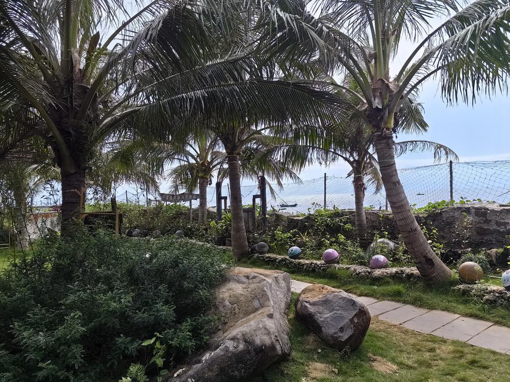 徐闻丰硒良姜公司产品(广东丰硒良姜有限公司)-硒宝网