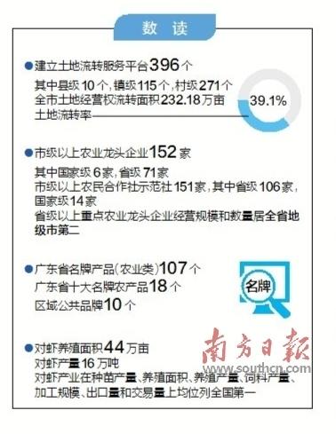 徐闻丰硒良姜公司产品(徐闻县良姜产业园)-硒宝网