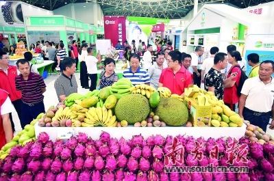 徐闻丰硒良姜公司产品(徐闻县良姜产业园)-硒宝网