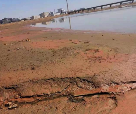 骗老人卖硒产品违法吗(骗老人买含硒保健品)-硒宝网