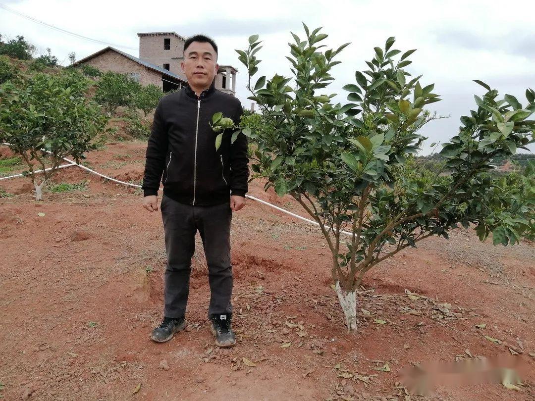 问题硒一共有几代产品（硒的有奖问答）-硒宝网