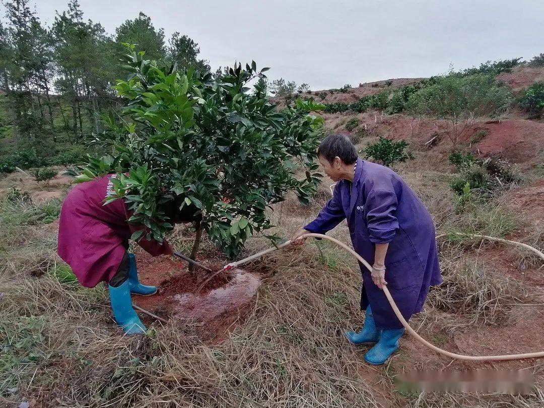 问题硒一共有几代产品（硒的有奖问答）-硒宝网
