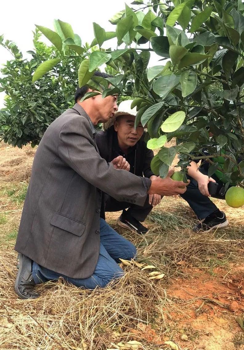 问题硒一共有几代产品（硒的有奖问答）-硒宝网