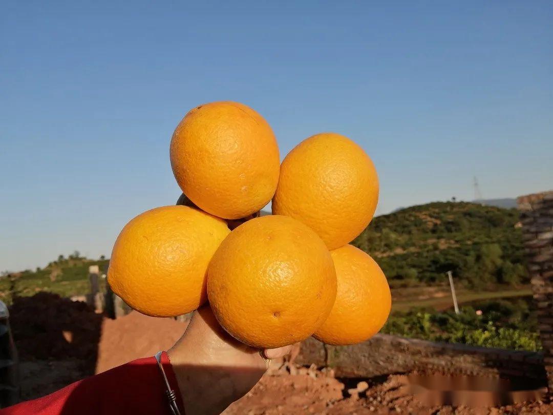 问题硒一共有几代产品（硒的有奖问答）-硒宝网