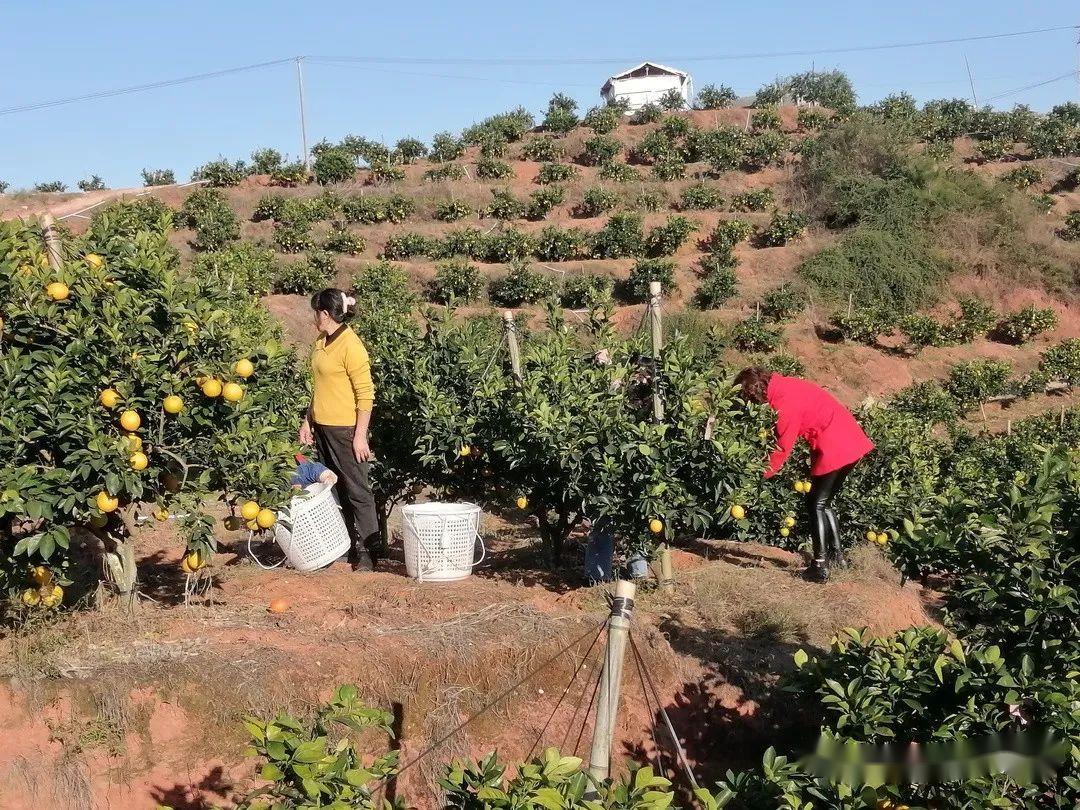 问题硒一共有几代产品（硒的有奖问答）-硒宝网