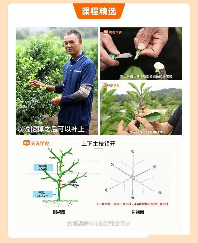 问题硒一共有几代产品（硒的有奖问答）-硒宝网