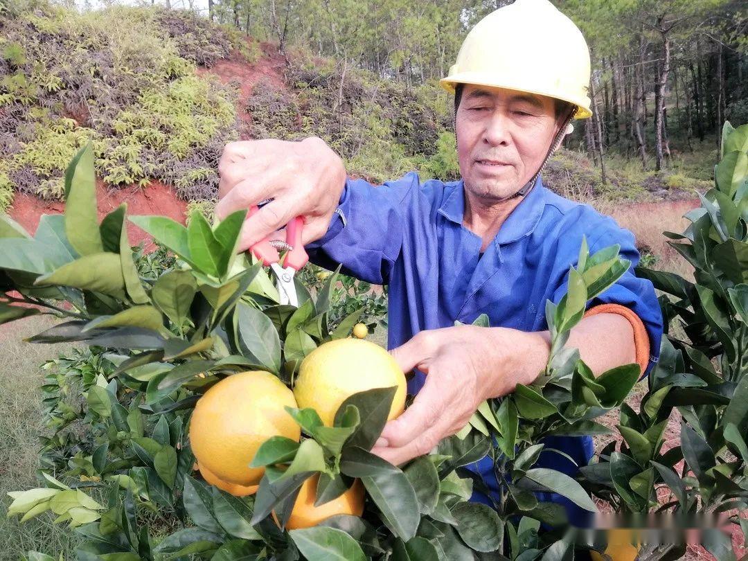 问题硒一共有几代产品（硒的有奖问答）-硒宝网