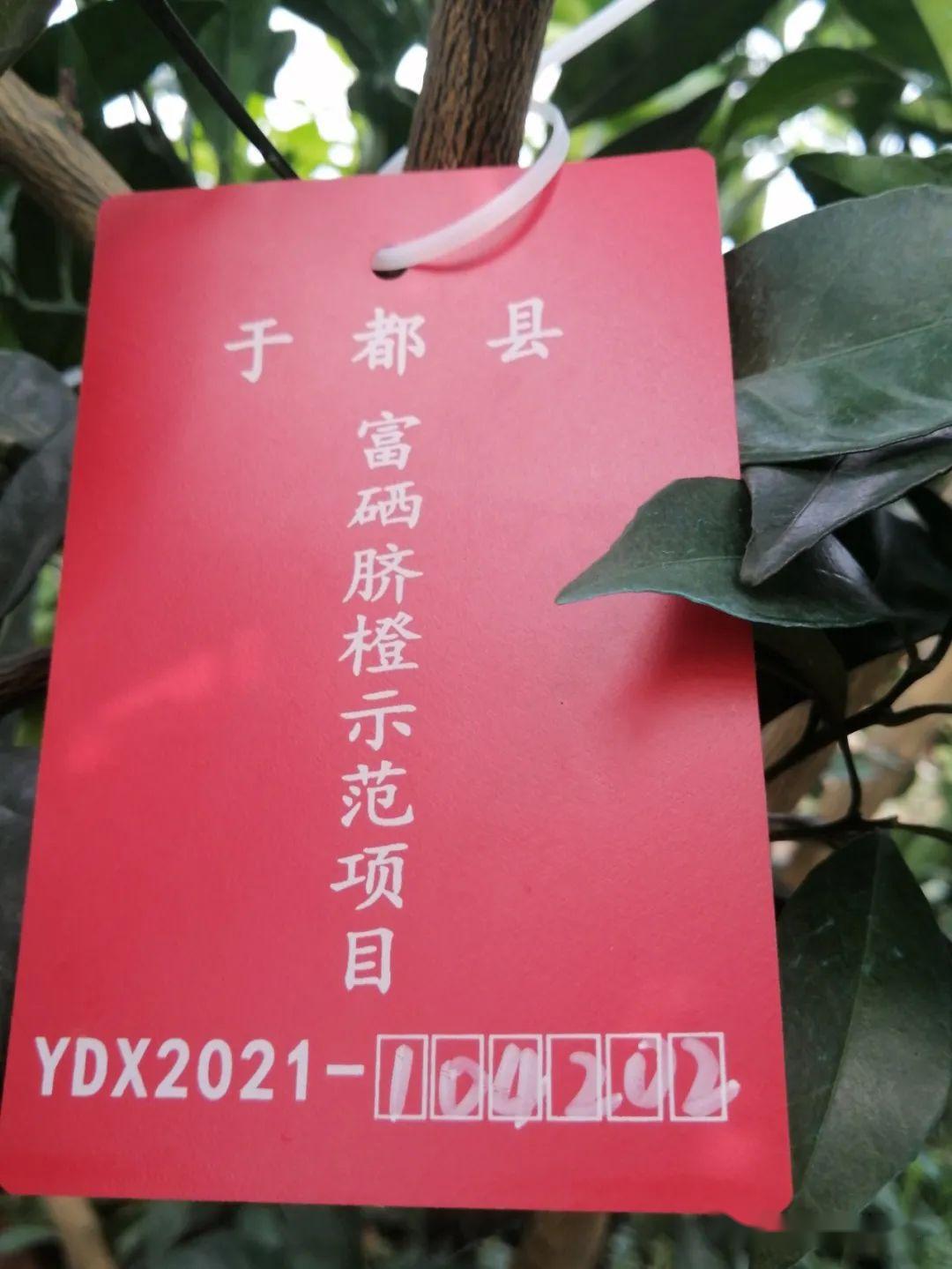 问题硒一共有几代产品（硒的有奖问答）-硒宝网