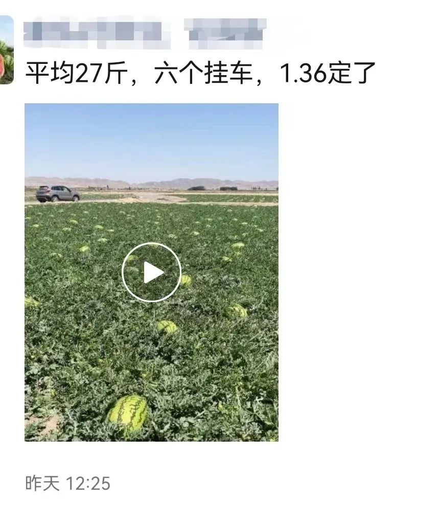 硒砂瓜主要卖什么产品（硒砂瓜行情）-硒宝网