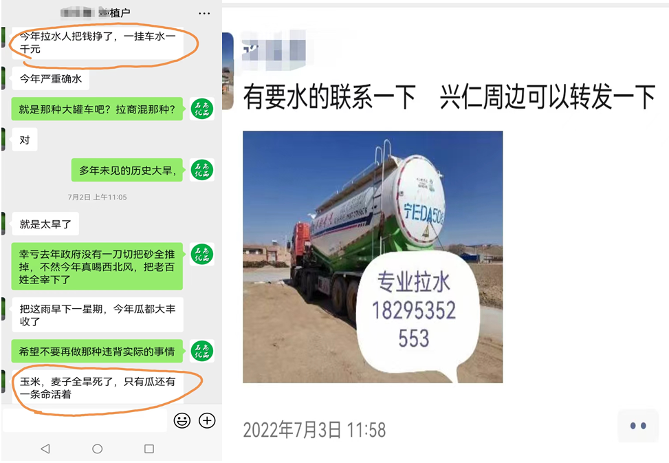 硒砂瓜主要卖什么产品（硒砂瓜行情）-硒宝网
