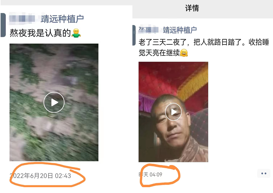 硒砂瓜主要卖什么产品（硒砂瓜行情）-硒宝网