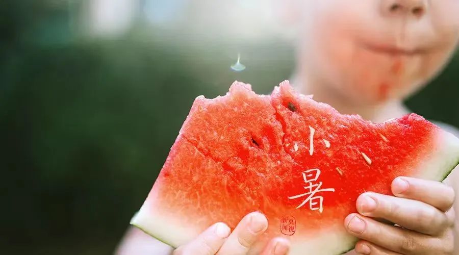 硒砂瓜主要卖什么产品（硒砂瓜行情）-硒宝网